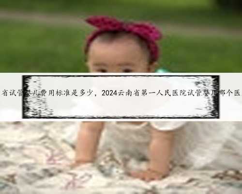 云南省试管婴儿费用标准是多少，2024云南省第一人民医院试管婴儿哪个医生好