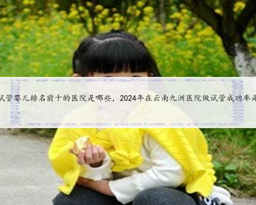 云南省试管婴儿排名前十的医院是哪些，2024年在