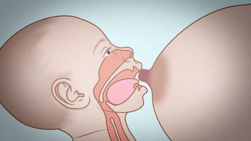 试管求子助孕，血友病做试管婴儿会遗传吗，第三代试管婴儿可免疫血友病风险