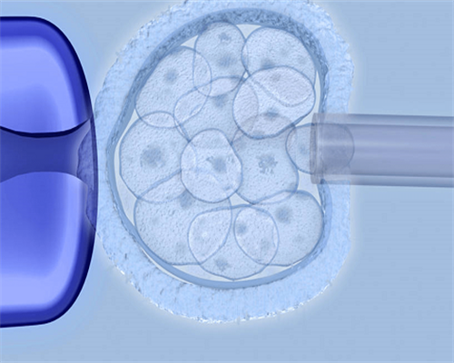 杭州邵逸夫代生孩子多少钱-杭州邵逸夫和妇保三代代生孩子多少钱成功率分别