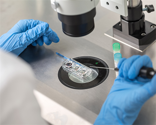 鲜胚囊胚冻胚，移哪个好？关于代生哪儿最权威的那些事儿
						